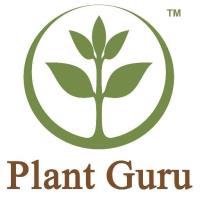 Plant Guru - Natural Oils & Carrier Oils image 5